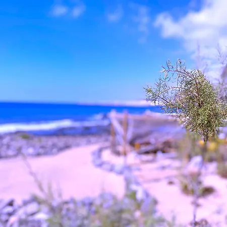 Tropicalidays Olas Apartament *