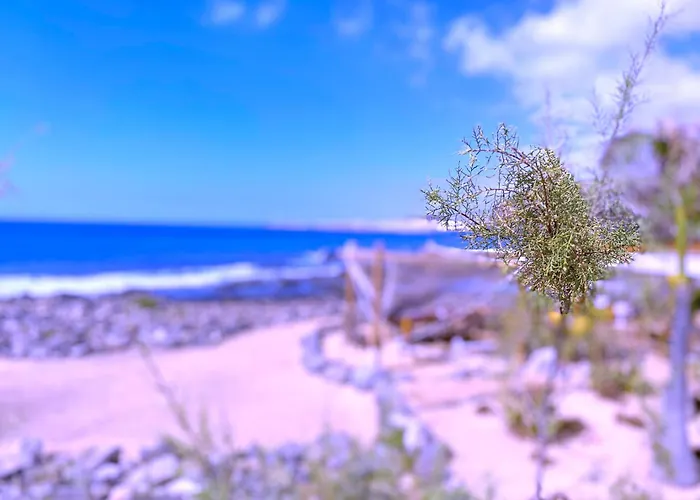 Tropicalidays Olas アパート *