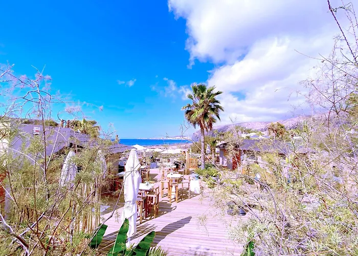 Tropicalidays Olas * パルム・マール